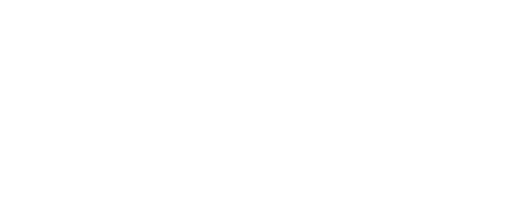 Team member logo