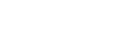Lepton